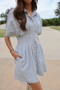 Button Down Mini Dress